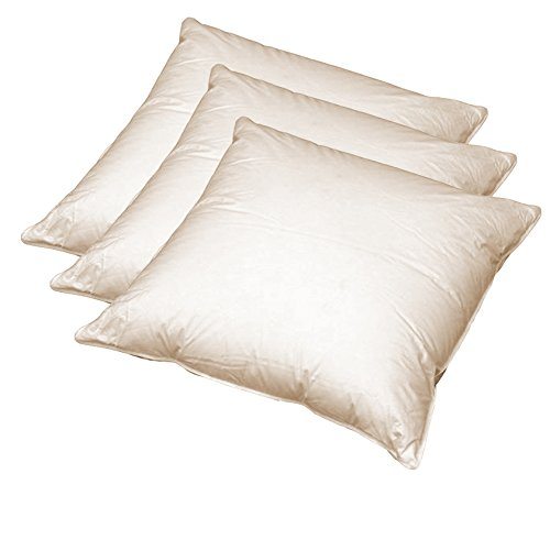 Federkissen 40x40 cm (echte Federn)