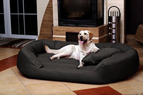 tierlando®SAMMY Extra ROBUST Hundesofa