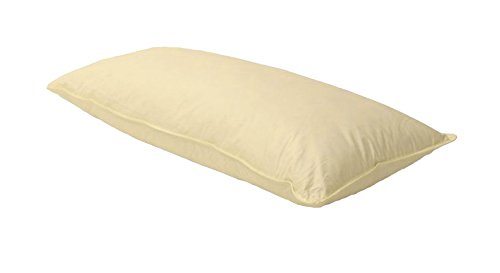 Sofa Federkissen 40x60 cm