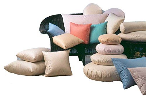 Sofa Federkissen 40x60 cm